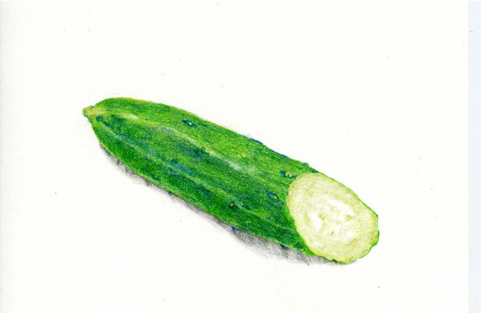 cucumber_02