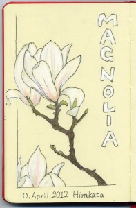 magnolia_02