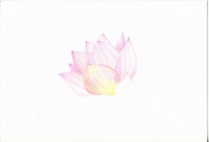 lotus_01