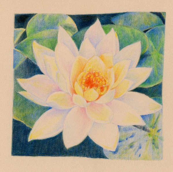 lotus_02