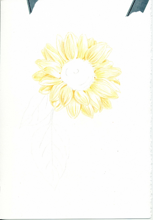 sun_flower_02