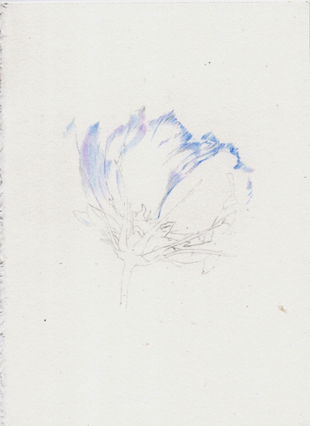 2014_10_01_cosmos_03