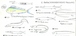 2016_03_20_fish_01_s