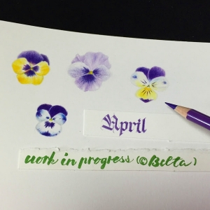 2016_04_01_pansy_01_s