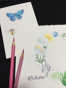 2016_04_16_butterfly_01_s