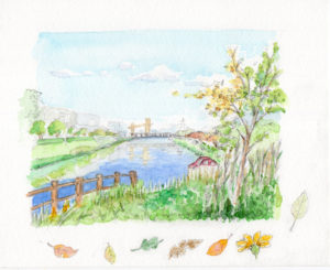 2016_12_14_kitapark_04