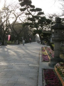 住吉公園 住吉公園