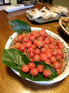 チェリーレッドの誘惑