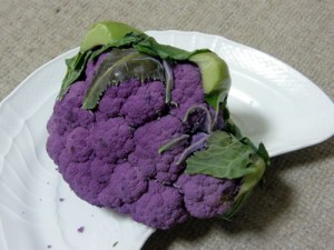 紫のカリフラワー