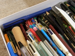 ラミーサファリも