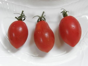 シシリアン・ルージュ