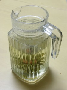 花が開いたようです