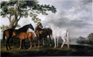 河辺の馬の親子