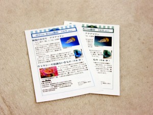 左が正しい、右は緑っぽい