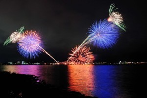 生け花みたいな花火