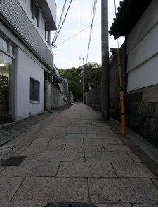 坂の下からの眺め 坂の下からの眺め