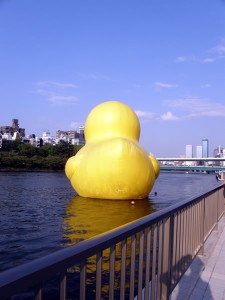 キュートな後ろ姿