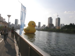 遠くからでもよく目立つ。黄色だもん。