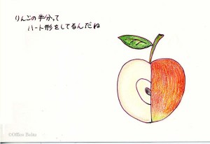りんごの半分