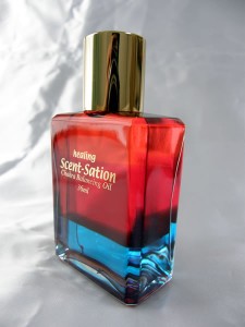 Divine Light Mmission　神聖なる光のミッション