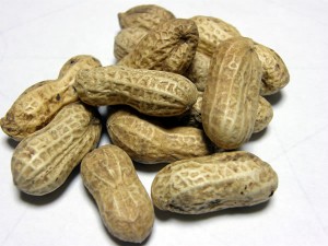 千葉のピーナッツ