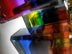 トリコロールボトルの森