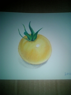 Hさまのイエロートマト