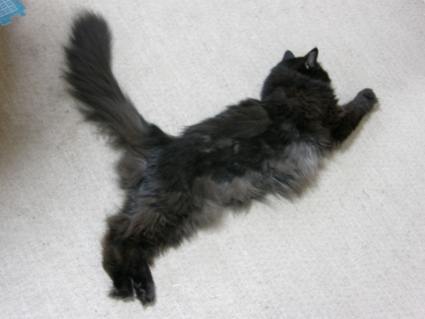 ふぁ、のびのび~