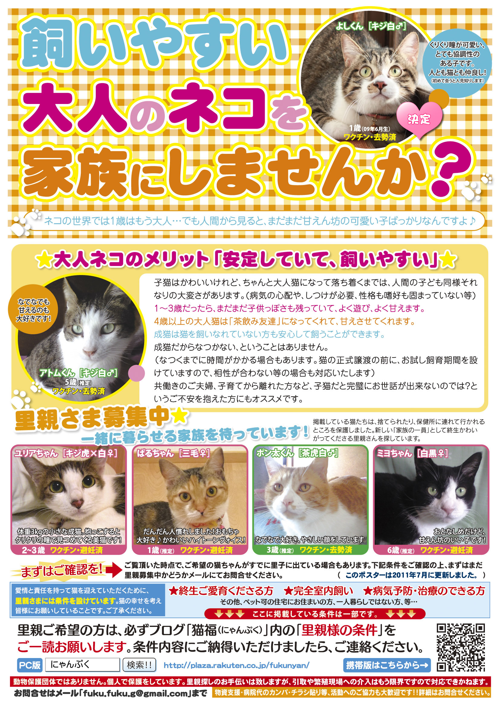 otona_cats