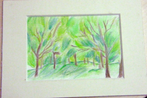 できあがり。若葉燃ゆ。