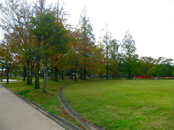 なが田の前に広がる公園