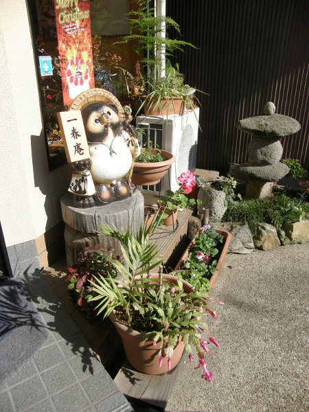 店頭 狸さんが看板を持ってる