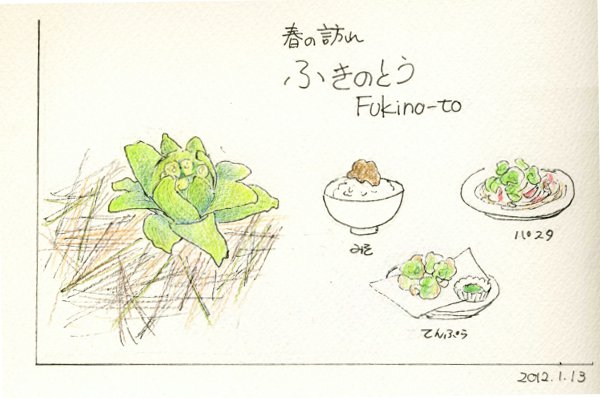 フキノトウが芽吹く