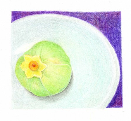 和菓子 桂月堂 水仙花