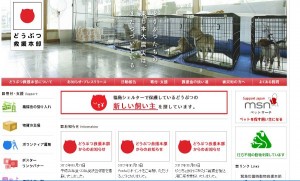 異業種交流会 チャリティ