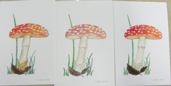 ベニテングダケ できあがり