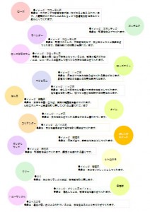 チャクラシート裏面です