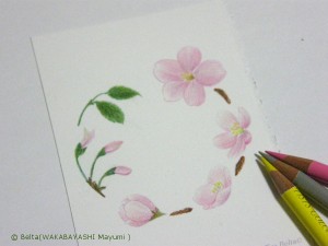 塗り絵　桜のリース