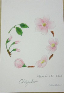 塗り絵 できあがり 桜のリース