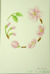 塗り絵　できあがり　桜のリース