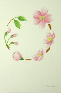 塗り絵 できあがり 桜のリース