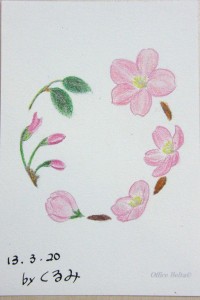 塗り絵 桜のリース できあがり