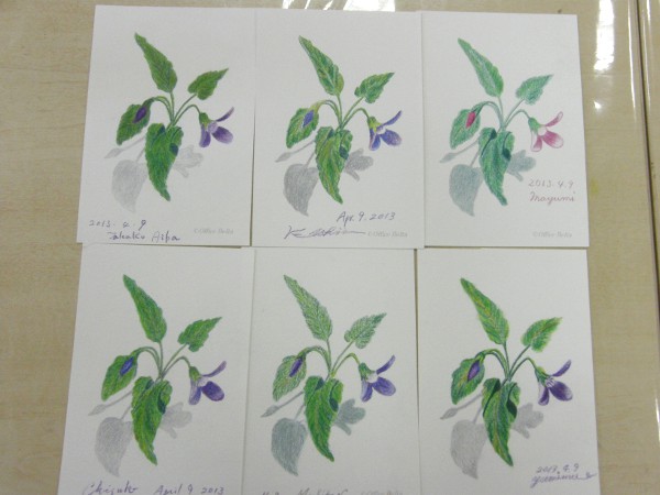 美しいバイオレットのできあがり