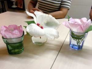 アメリカフヨウ