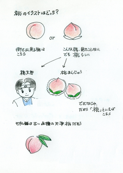 桃のイラスト
