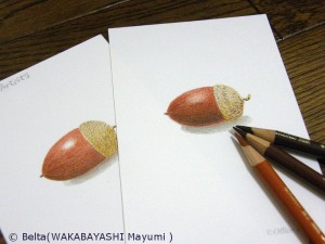 塗り絵　どんぐり
