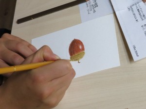 初めての方のどんぐり!