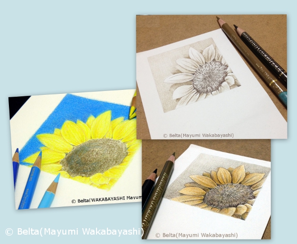 ひまわりの見本