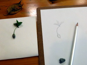 2014_10_05_07_obentou