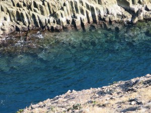 水の透明度がすごい!